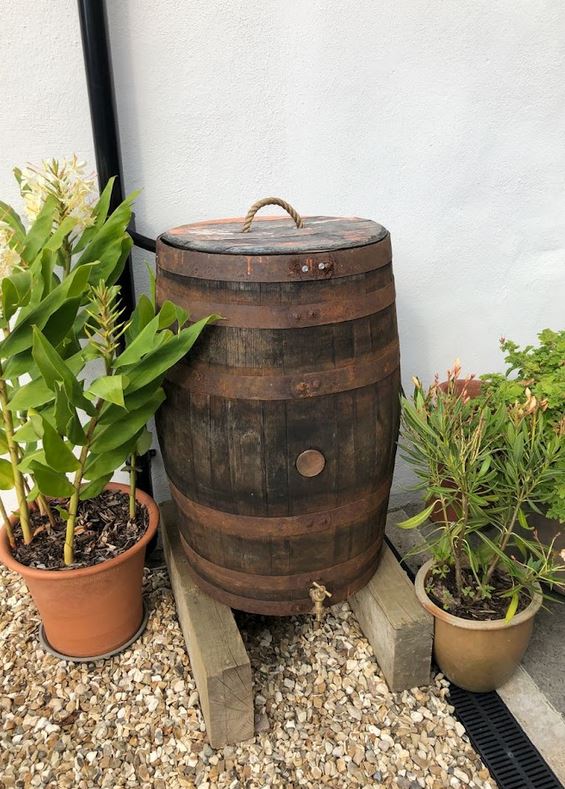 Oak Whisky Barrel Water Butt - 40 Gallon / 55 Gallon / 120 Gallon