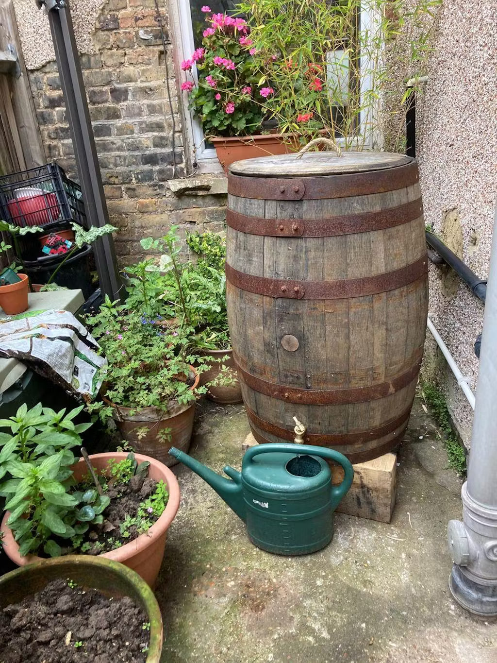 Oak Whisky Barrel Water Butt - 40 Gallon / 55 Gallon / 120 Gallon