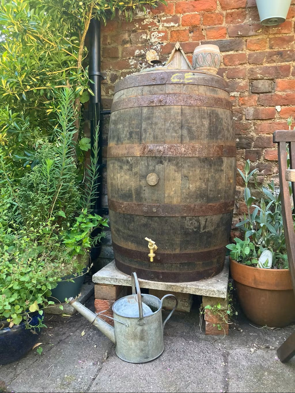 Oak Whisky Barrel Water Butt - 40 Gallon / 55 Gallon / 120 Gallon