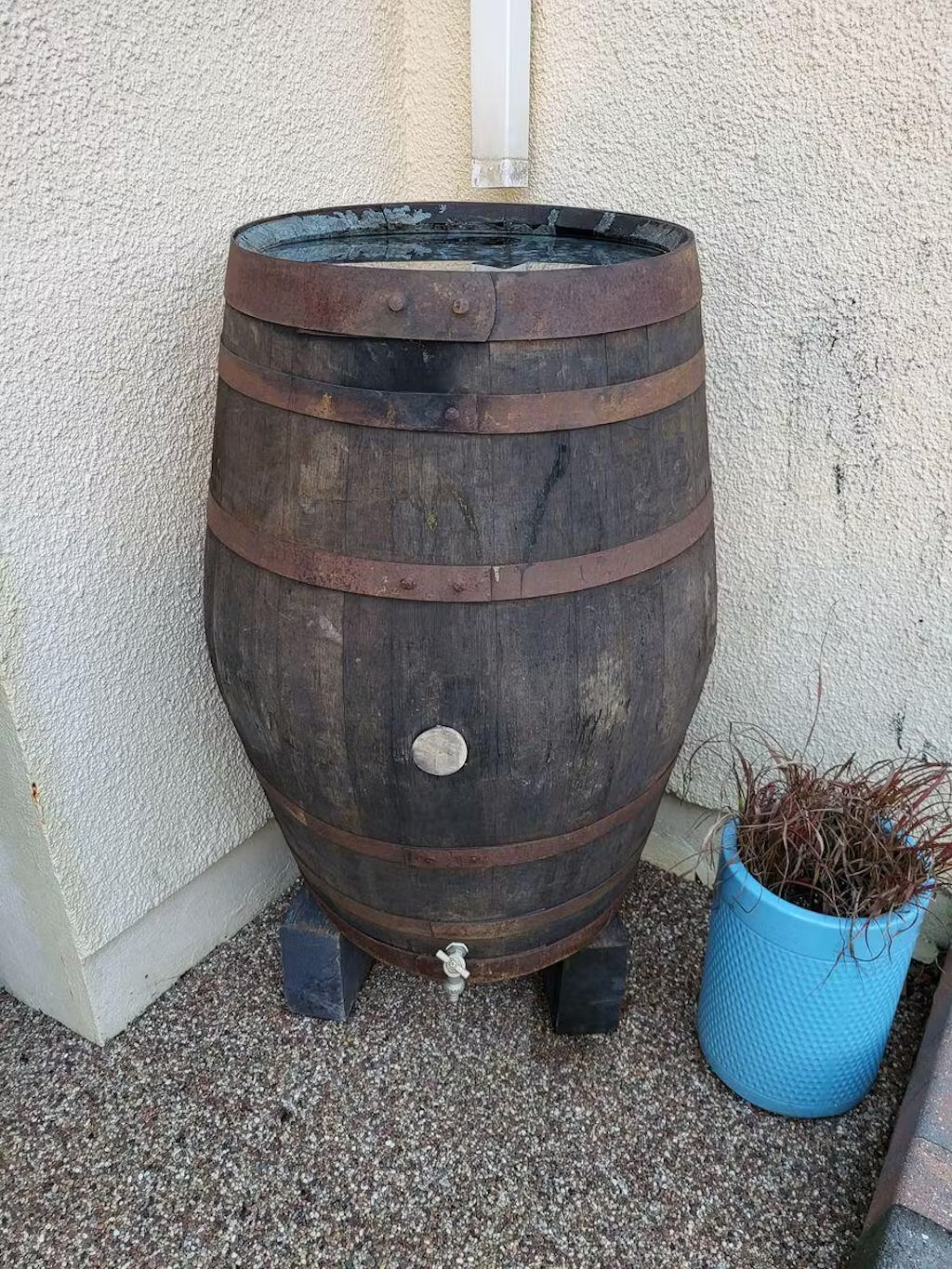 Oak Whisky Barrel Water Butt - 40 Gallon / 55 Gallon / 120 Gallon