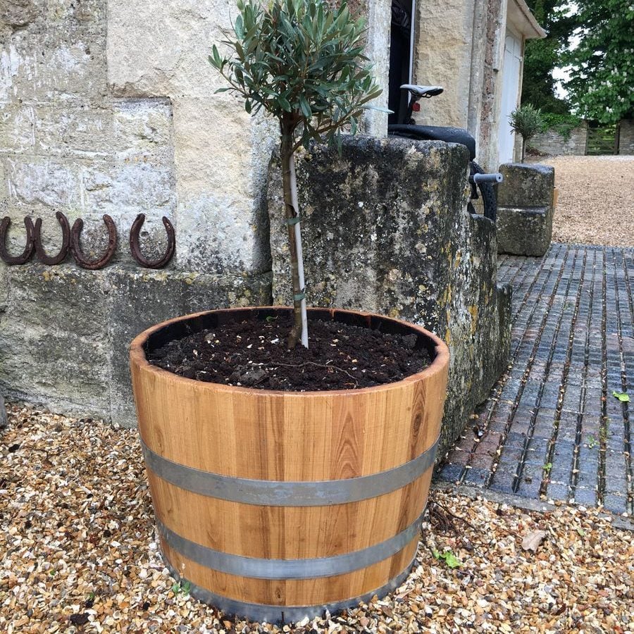 Chestnut Hardwood Half Barrel Planters