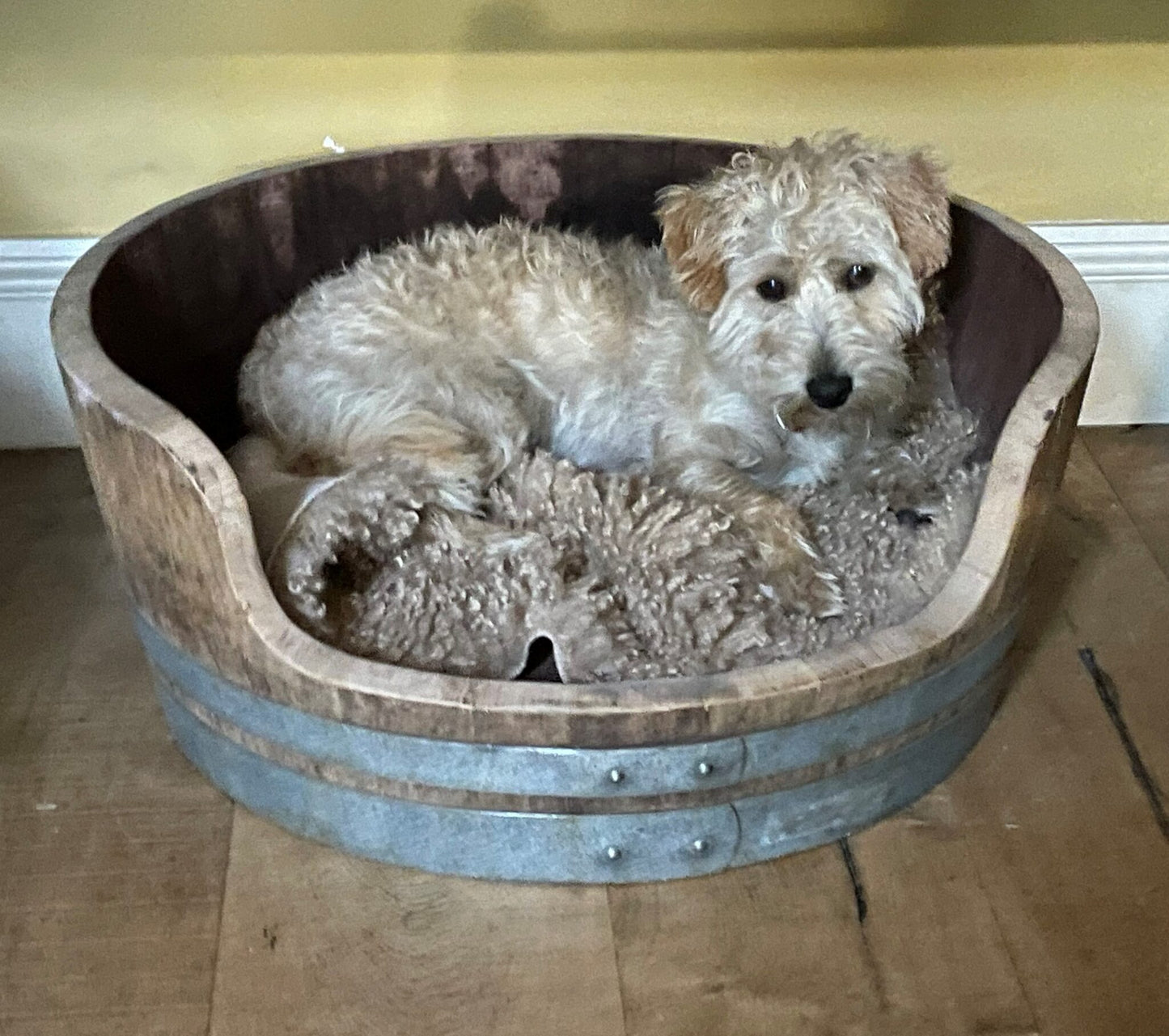 Oak Wine Barrel Dog Bed
