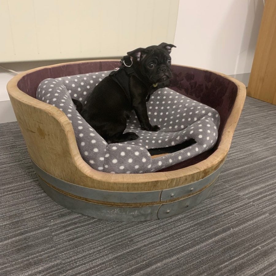 Oak Wine Barrel Dog Bed