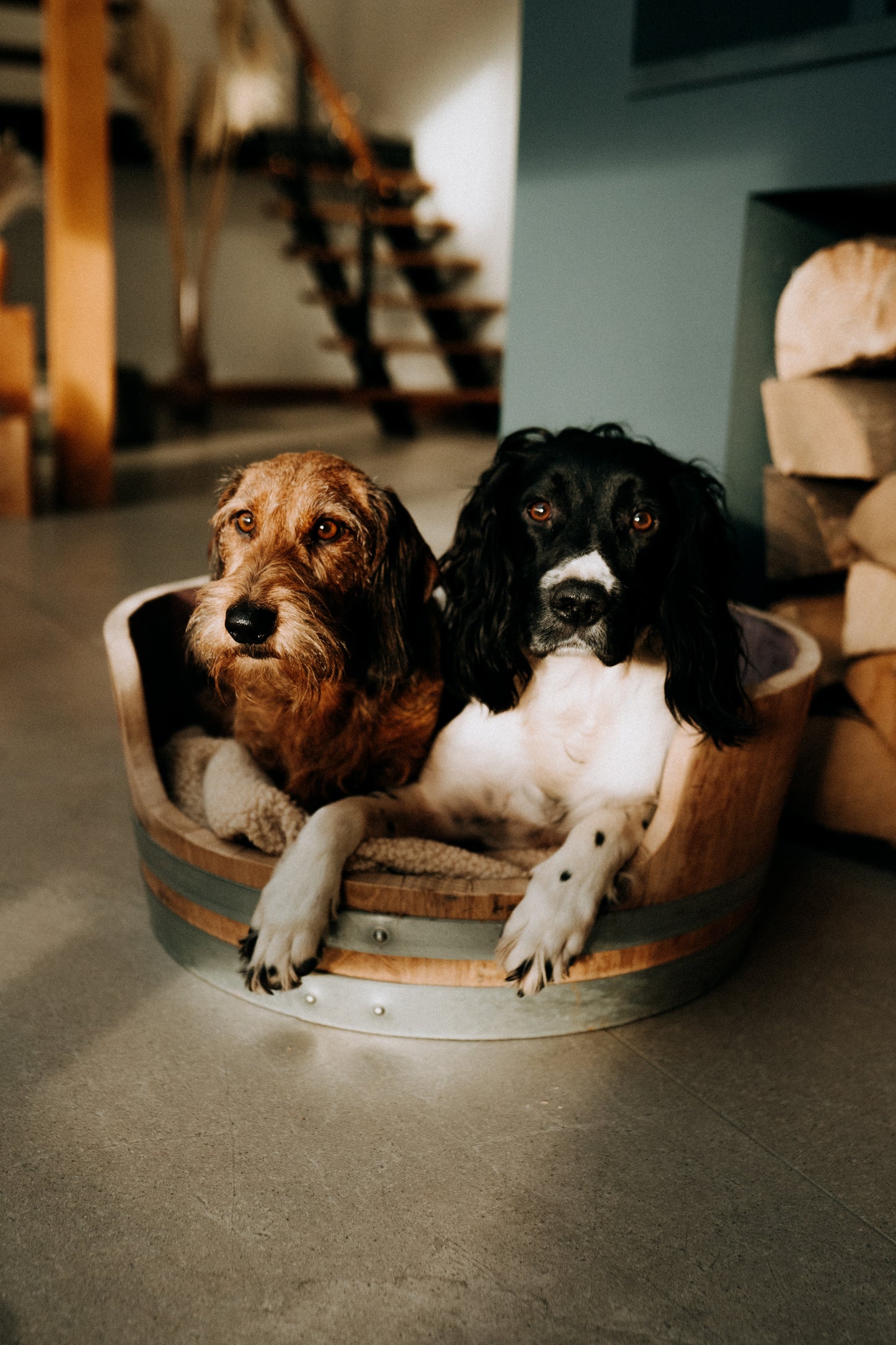 Oak Wine Barrel Dog Bed