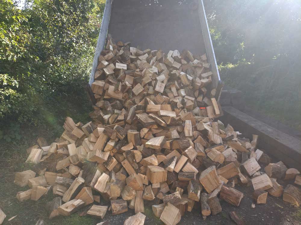 Hardwood Kiln-Dried Seasoned Firewood/Logs - Pembrokeshire/Local Deliveries