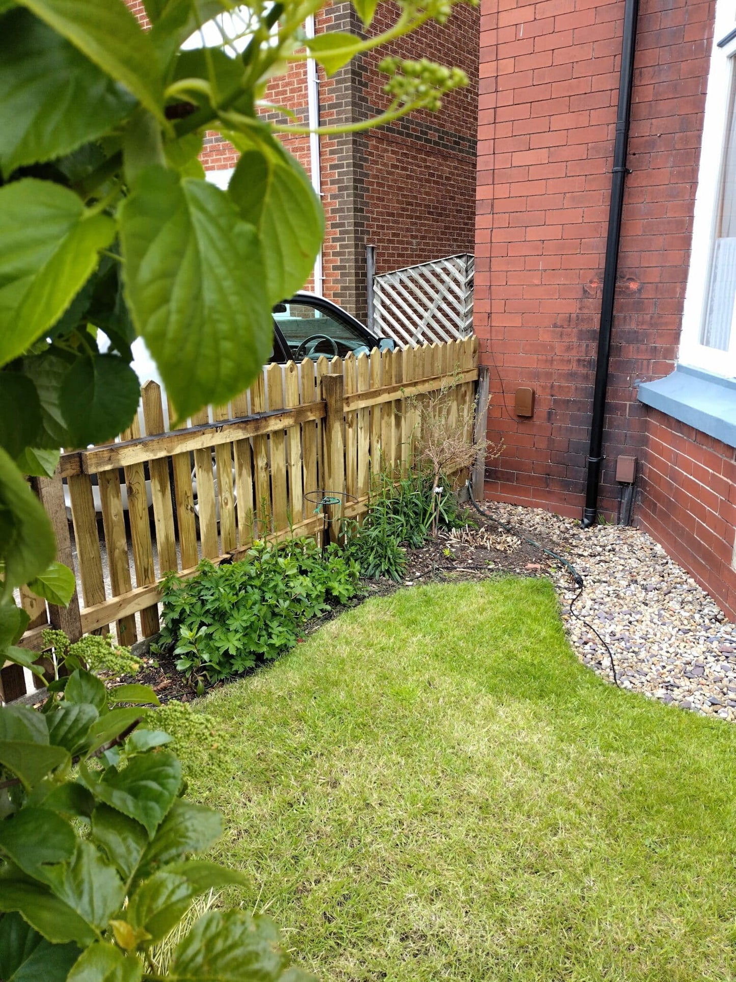 Treated Softwood Picket Garden Fencing Pales