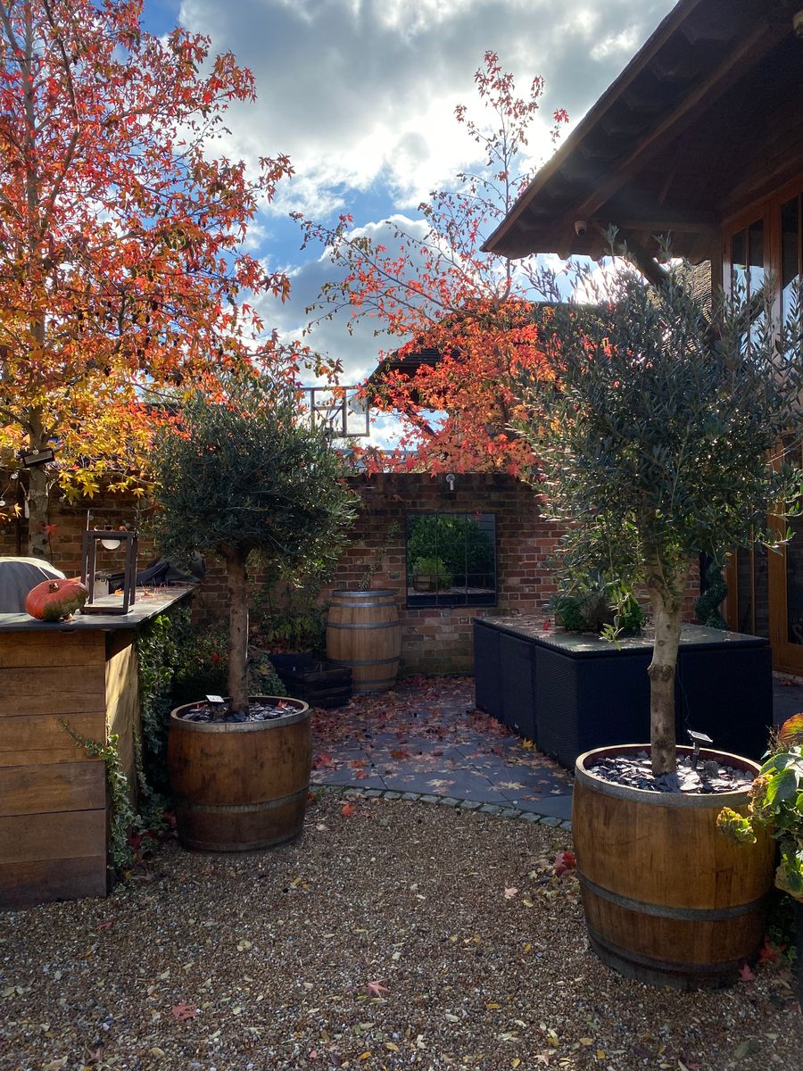 Oak Wine Barrel Planters