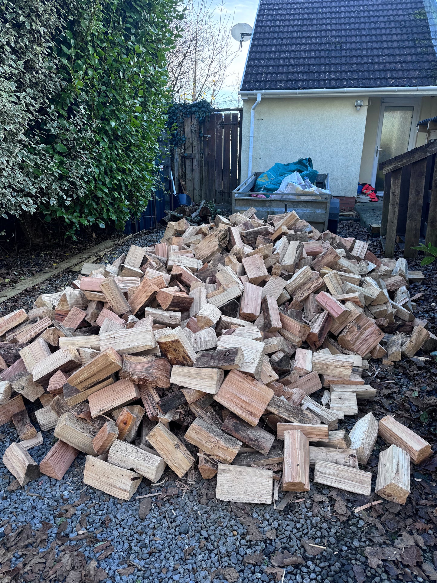 Softwood Kiln-Dried Seasoned Firewood Logs - Pembrokeshire/Local Deliveries