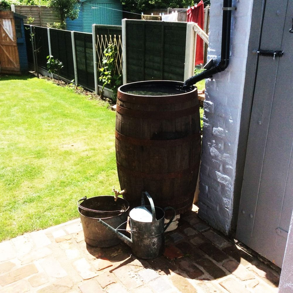 Oak Whisky Barrel Water Butt - 40 Gallon / 55 Gallon / 120 Gallon