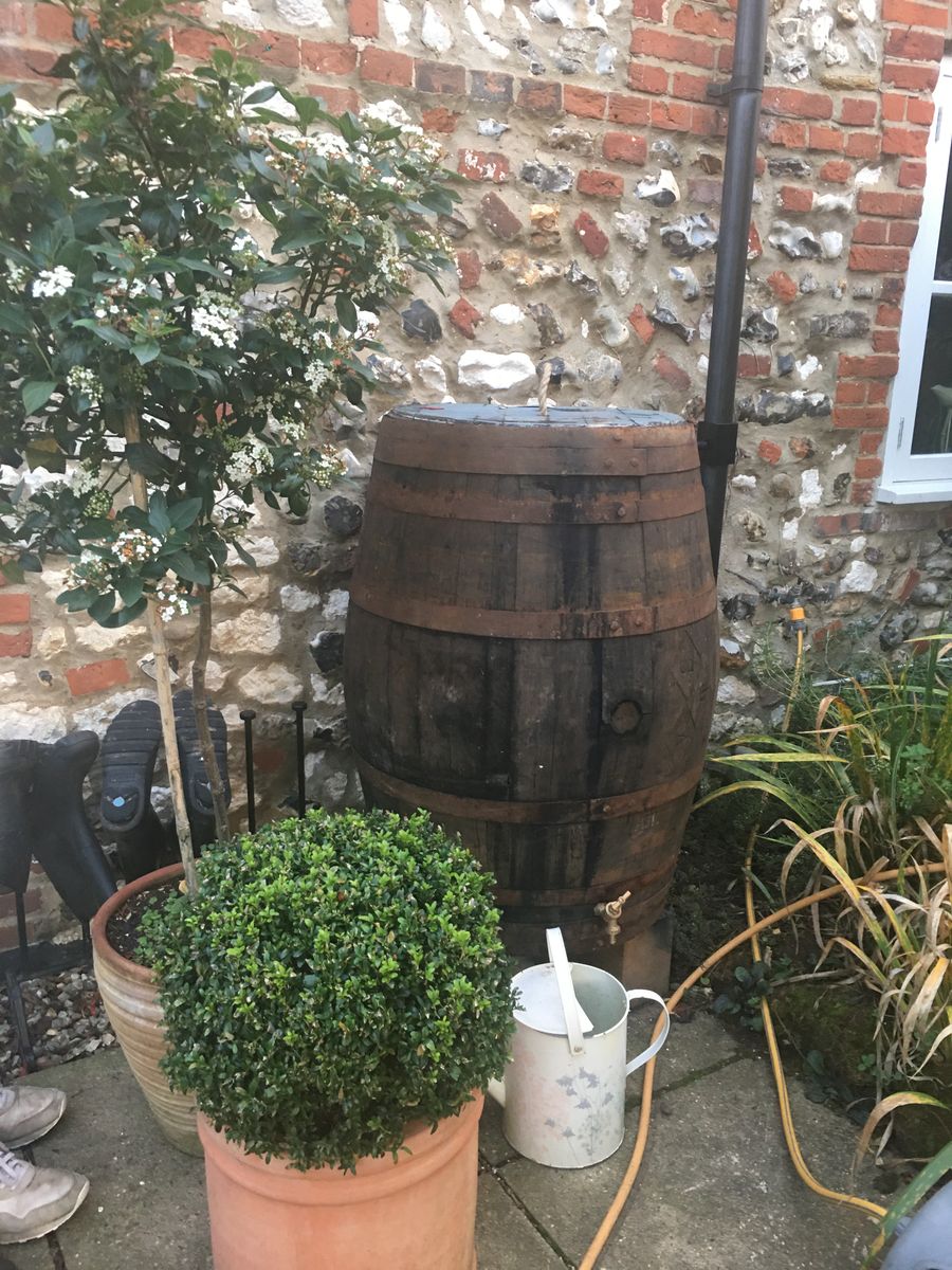 Oak Whisky Barrel Water Butt - 40 Gallon / 55 Gallon / 120 Gallon