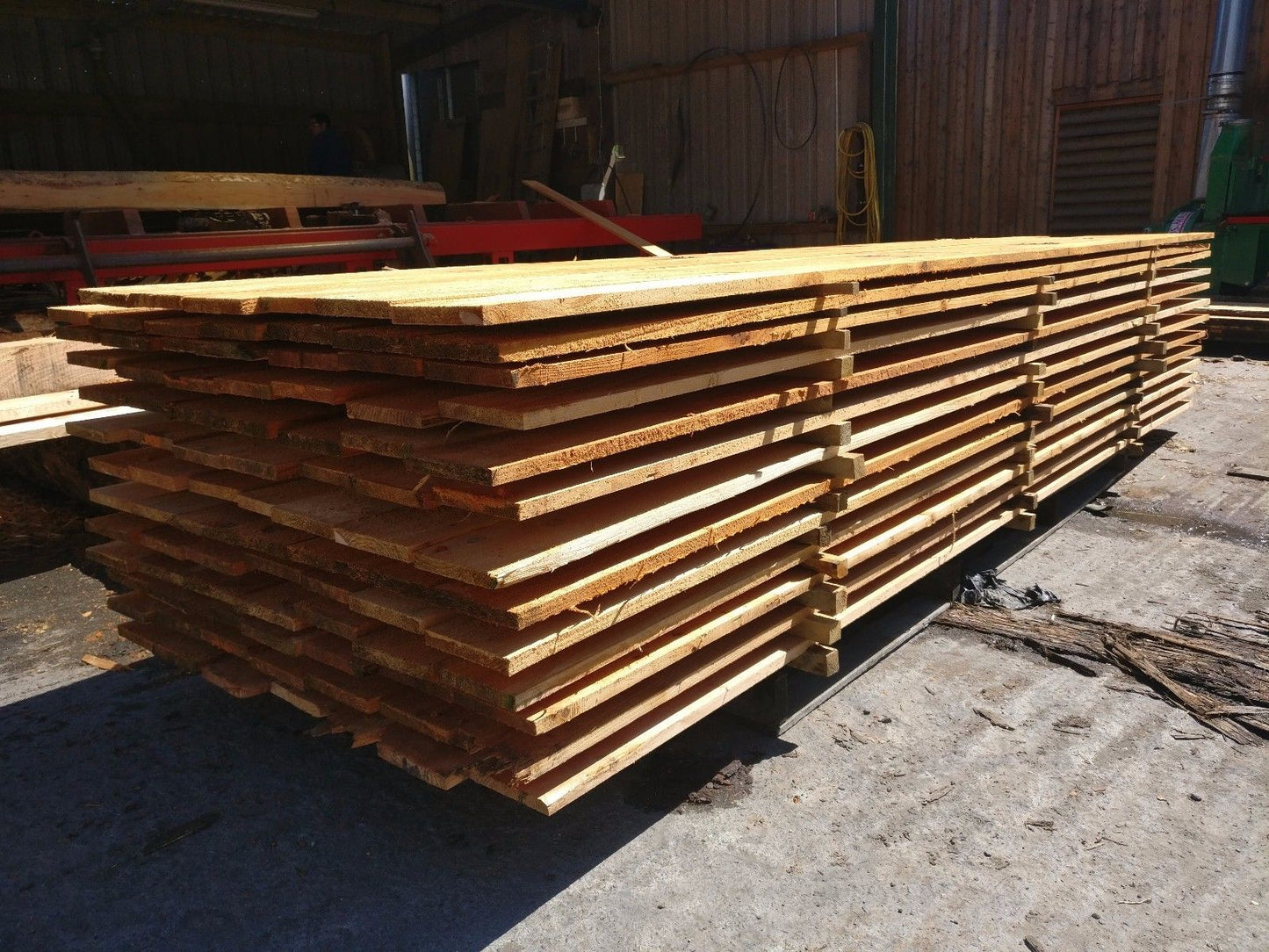 Cedar and Larch Board Samples