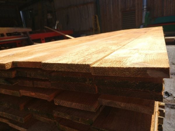 Cedar and Larch Board Samples