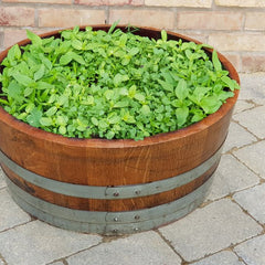 Oak Wine Barrel Planters