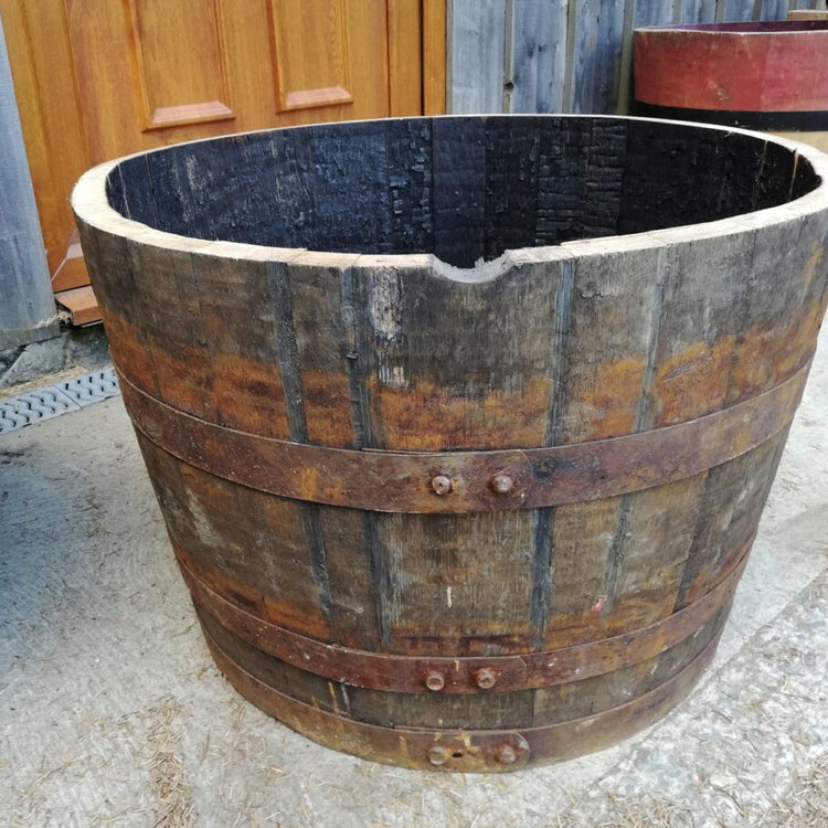 Oak Whisky Half Barrel Planters