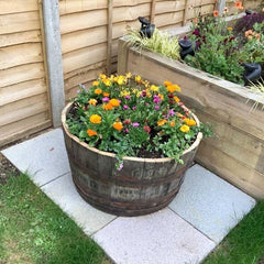 Oak Whisky Half Barrel Planters
