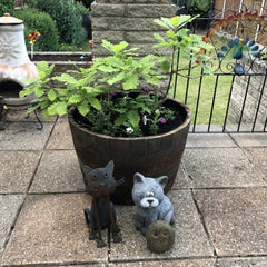 Oak Whisky Half Barrel Planters