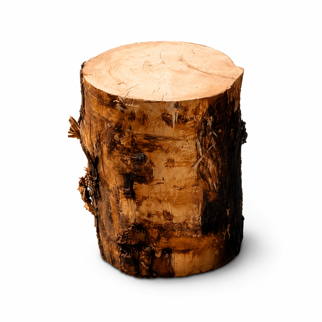 Natural Log Stump Step for Barrel Ice Baths