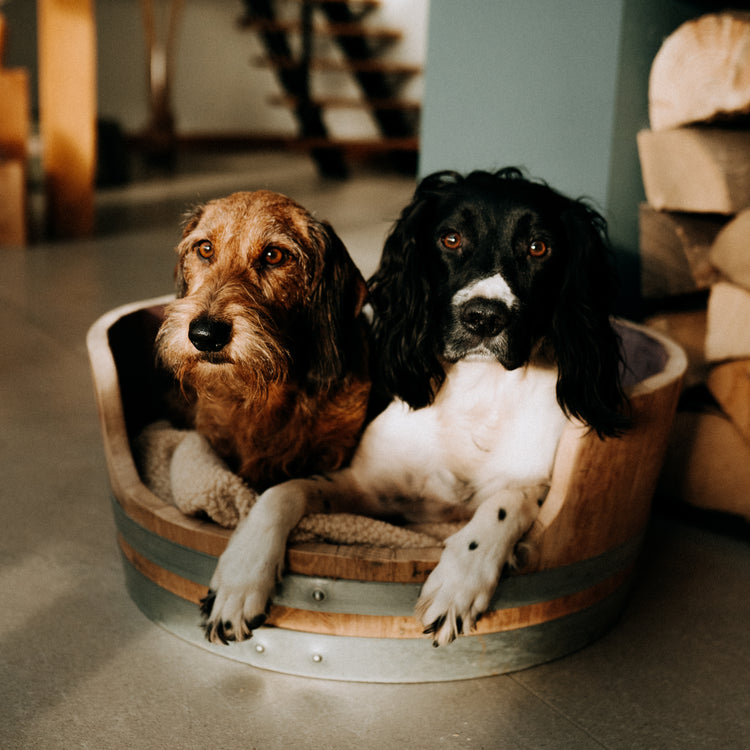 Oak Wine Barrel Dog Bed