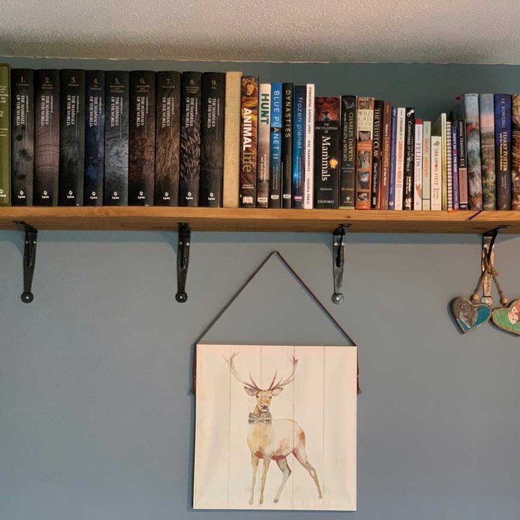 Oak Shelves with Brackets & Oils - Cut to Order Shelving, Custom Sizes
