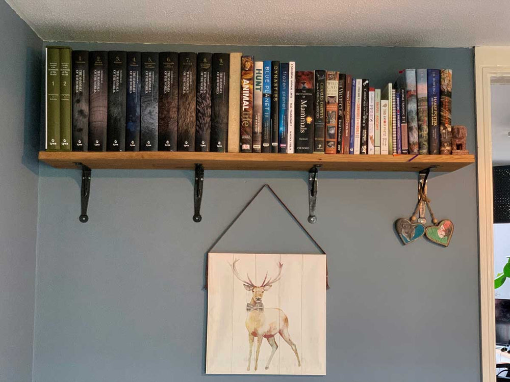 
                      
                        Oak Shelves with Brackets & Oils
                      
                    