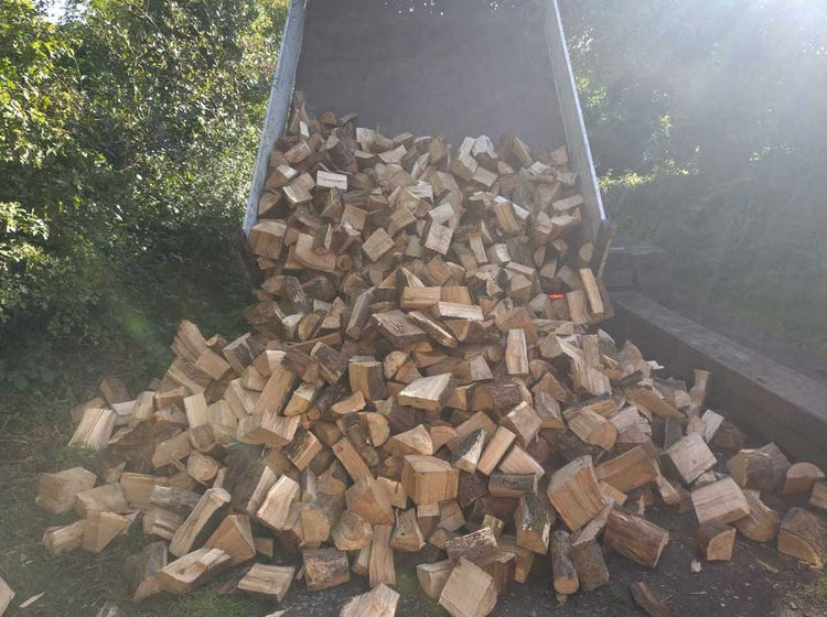 Oak Off-Cuts Kiln-Dried Seasoned Firewood - Pembrokeshire/Local Deliveries