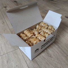 Eco Friendly Wood Wool Firelighters (Pack of 50)