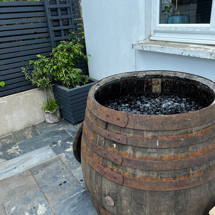 Oak Wine & Whiskey Barrel Ice Baths
