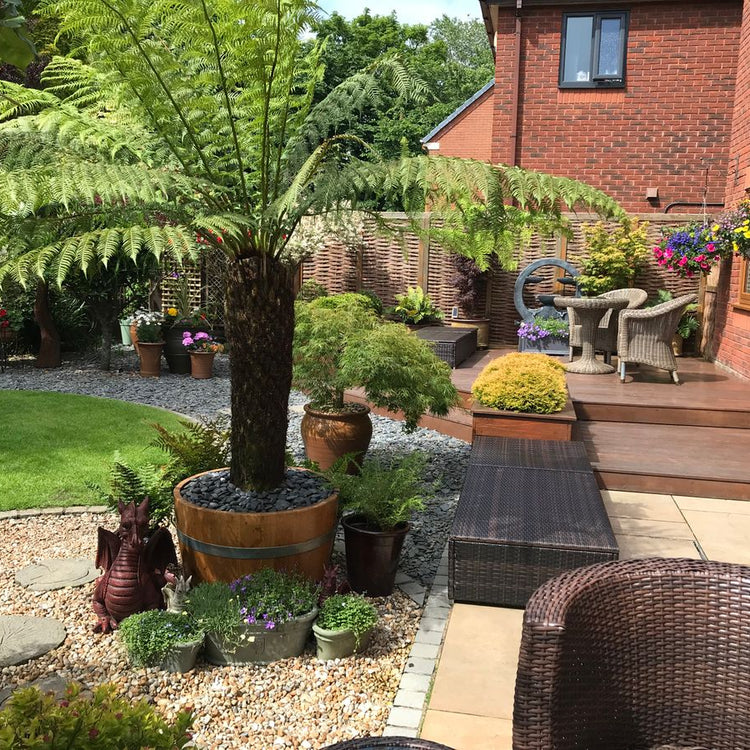 Oak Wine Barrel Planters