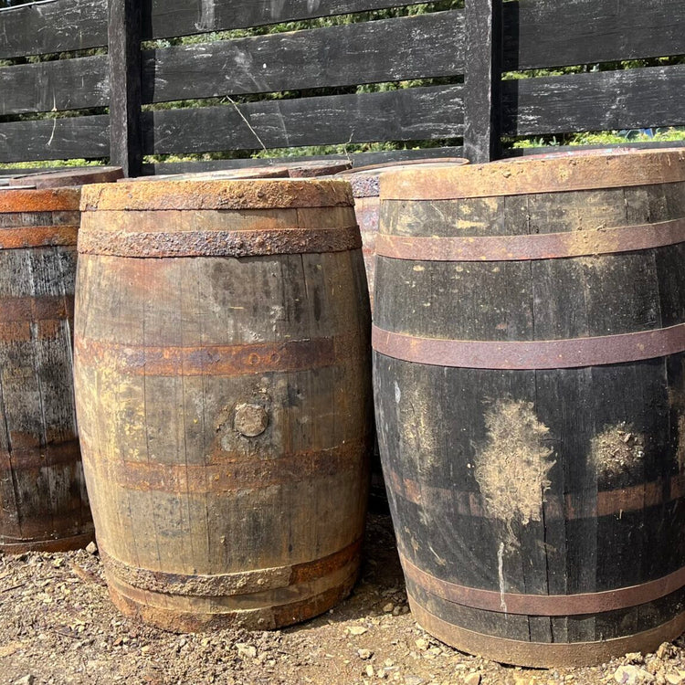 Reduced / Damaged Oak Whisky Barrels