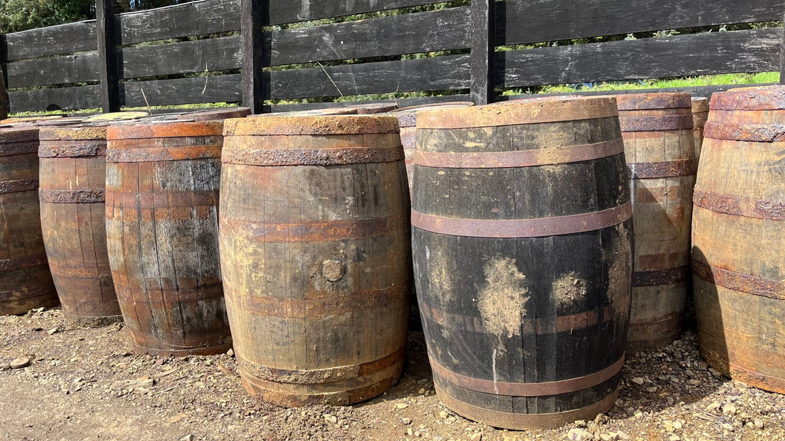 
                      
                        Reduced / Damaged Oak Whisky Barrels
                      
                    