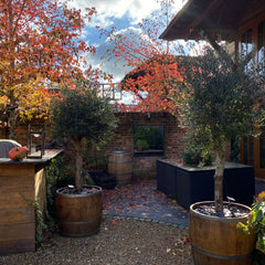 Oak Wine Barrel Planters