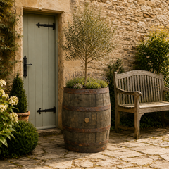 Genuine Scotch Oak Whisky Half Barrel Planters