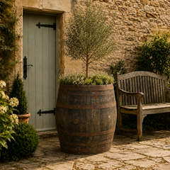 Genuine Scotch Oak Whisky Half Barrel Planters