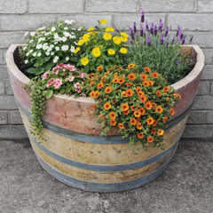 Quarter Flat Back Oak Wine Barrel Planter