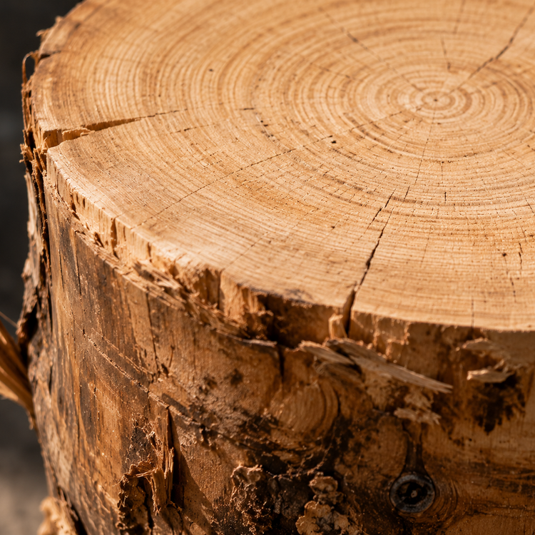 Natural Log Stump Step for Barrel Ice Baths