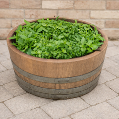 Genuine French Oak Wine Barrel Planters