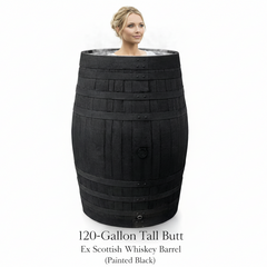 Large black oak whiskey barrel ice bath cold water therapy plunge with a person inside 