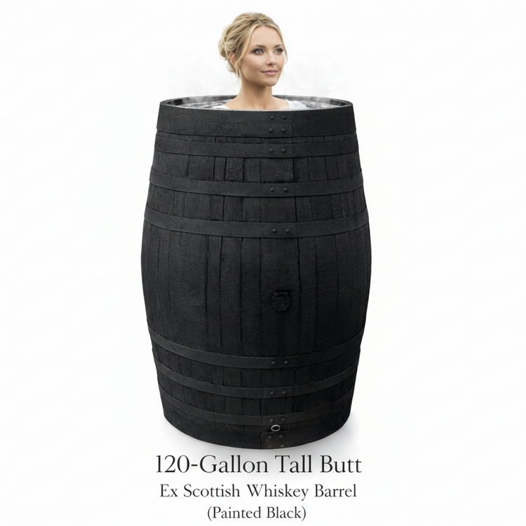 Large black oak whiskey barrel ice bath cold water therapy plunge with a person inside 