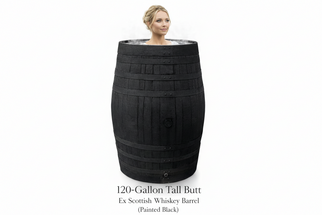 
                      
                        Large black oak whiskey barrel ice bath cold water therapy plunge with a person inside 
                      
                    