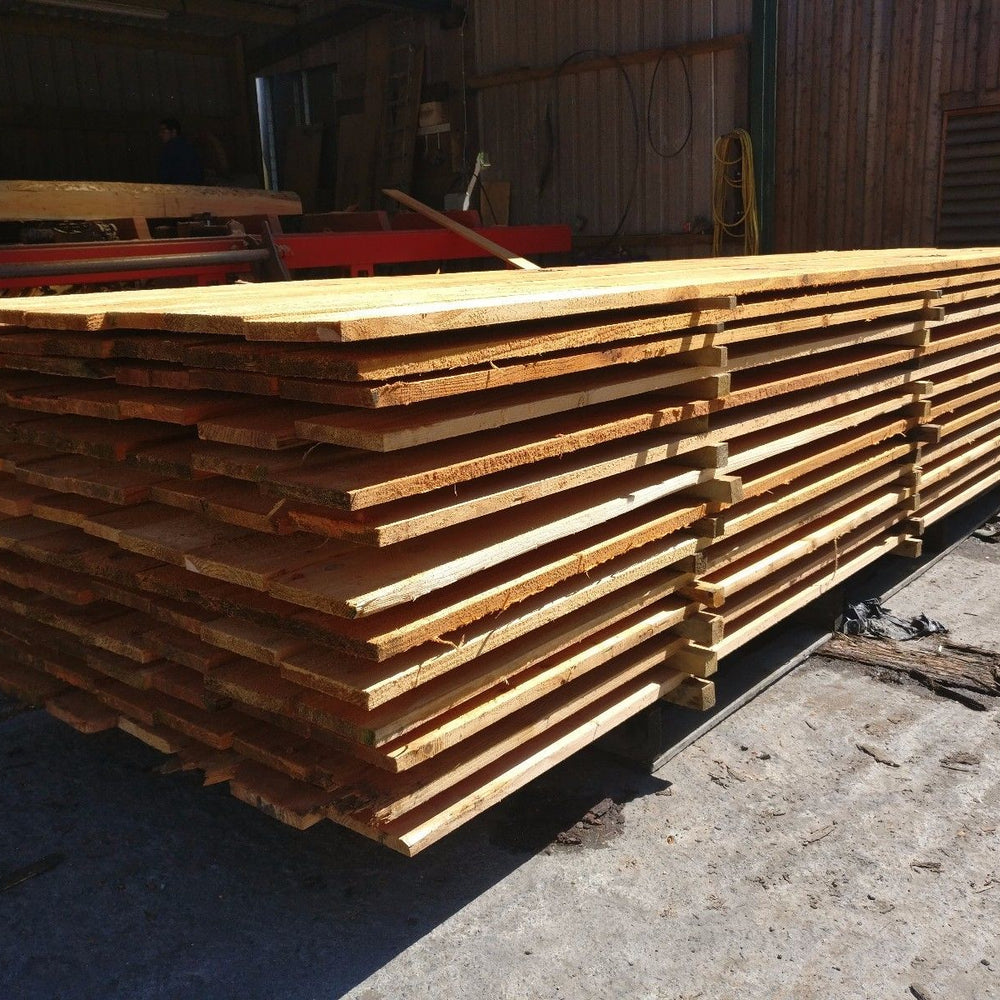 
                      
                        Cedar and Larch Board Samples
                      
                    