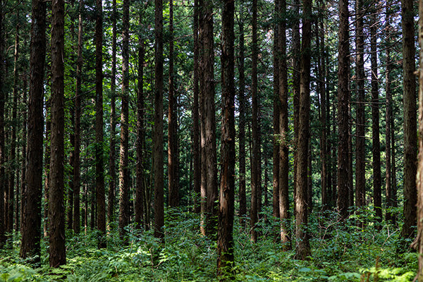 Responsible Sourcing